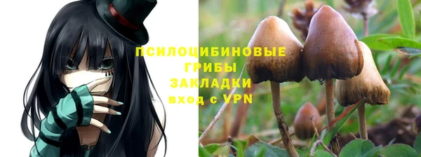 a pvp Балабаново
