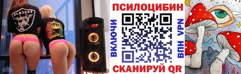 Галлюциногенные грибы Psilocybe  Тюкалинск 